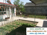 �����{�l���