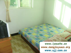 �����{���Ժ