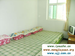 �����{���Ժ