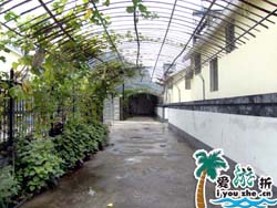 ʮ�����܄e��