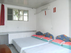 ʮ�ɖ|����ɽ֮���r(n��ng)��Ժ