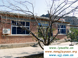 ʮ�����fӭ�e�õ�