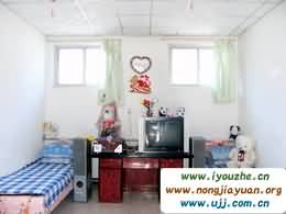 ʮ��ӭ���r��Ժ