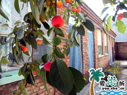 ��ɽ�ɺ��r(n��ng)��Ժ