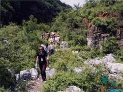 ̶�������Ĉ@�͗�