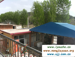 ���ϖ|�ξ��r��Ժ