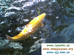 �ˮ�����Դ�����r(n��ng)��Ժ