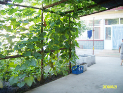 �ˮ�����Դ�����r(n��ng)��Ժ