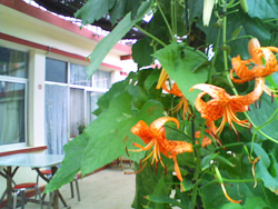 �ˮ�����Դ�����r(n��ng)��Ժ