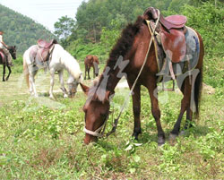 Ұ���º����r(n��ng)��Ժ