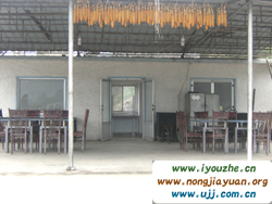 Ұ���°���{�d���r��Ժ