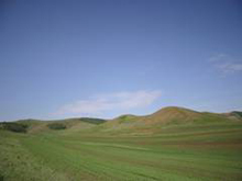 ��ߵ��h(yu��n)