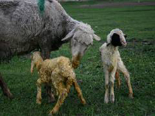 �������_ʼ