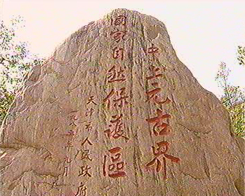 ����Ԫ�Ž������Ȼ���o�^(q��)